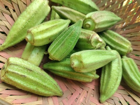 Kate Bhendi or Bhindi or okra used to prepare aamati witch is one of the most popular indian recipe. Louisiana Short Pod Heirloom Okra.