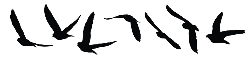 Flying birds silhouettes on white background