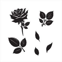  Rose silhouette vector  graphic