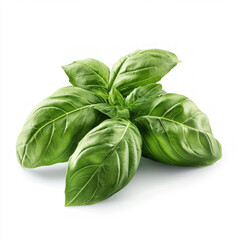 Fototapeta premium Pesto Isolated