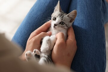 Man with cute kitten at home, closeup