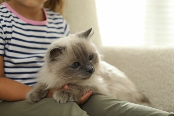 Little girl with cute kitten at home, closeup