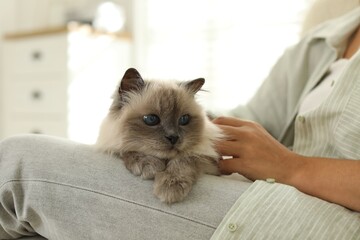 Woman with cute kitten at home, closeup