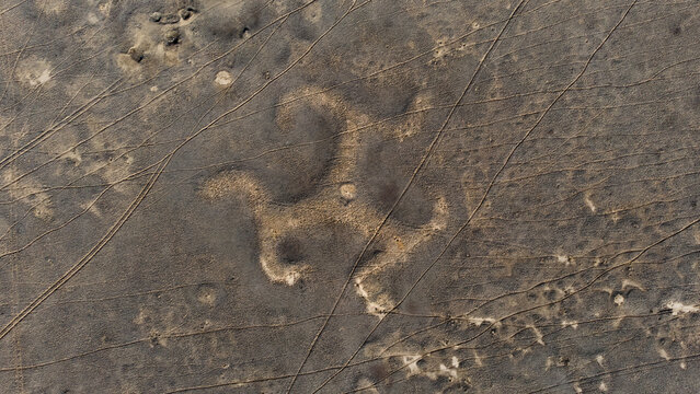 The geoglyph "Torgay Triquetra" is an earthen embankment in the form of three rays ending in a zigzag figure, the ends of which are bent counterclockwise.