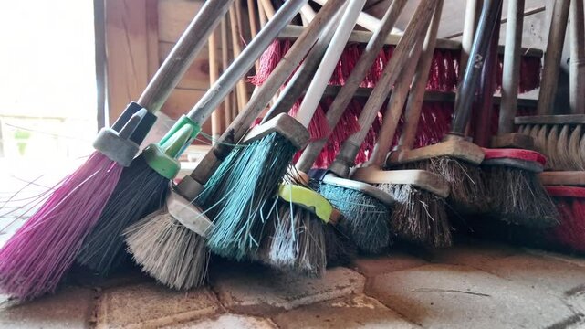 A close-up view of various garden brooms clustered together in an indoor