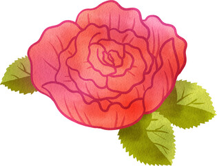 Red Rose with Leaves, Hand Drawn Illustration Watercolor