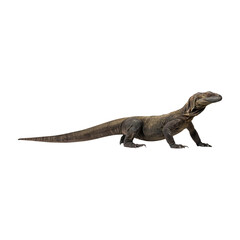 Fototapeta premium Big komodo dragon on transparent background PNG Generative AI