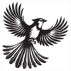 Obraz premium Cute Canada jay Bird Vector illustration in black and white
