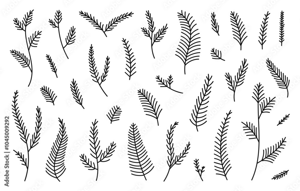 Poster Hand drawn set evergreen tree branches. Conifer black branches isolated on a white background. Minimalistic linear elements. Vector illustration.