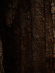 old wood warm background texture