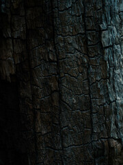 old wood cold background texture