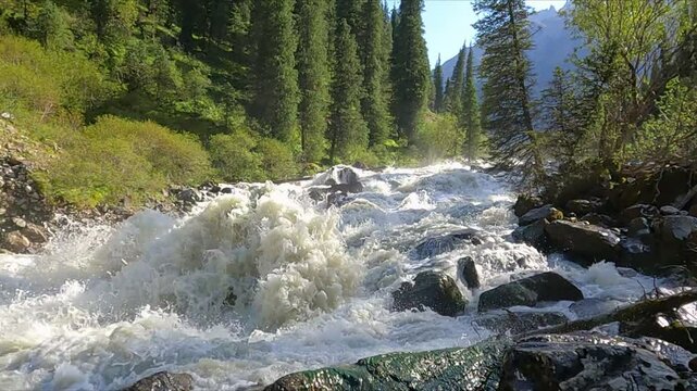 Beautiful landscape with the rough river in the mountain forest. Stony rough mountain river in a background of a forest. Slow motion. Mountain river raging waves, rocks and rocks in the river.