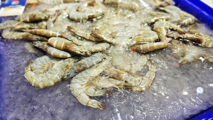 Fresh Catch, Close-up of Raw Shrimp on Ice on a market shelf.