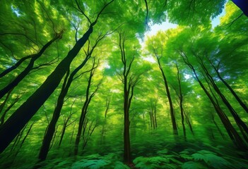 Obraz premium lush green forest canopy vibrant foliage textures showcasing rich tapestry colors structures, leaves, trees, sunlight, plants, shadows, branches, wilderness