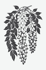 Wisteria Branch with Flowers Silhouette Vector Illustration in Detailed Artistic Style