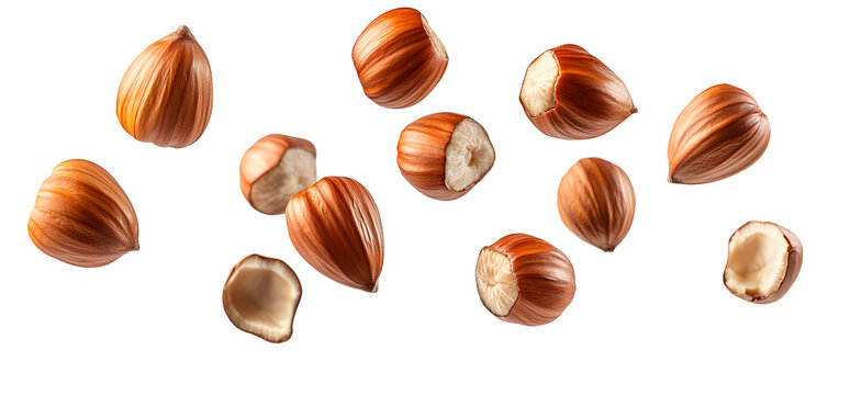 Hazelnuts floating over isolated transparent background