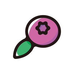 Blueberry outline icon for graphic design, apps and websites