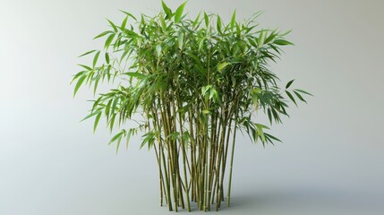 Naklejka premium Detailed 3D Rendering of Lush Bamboo Plant