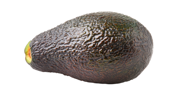 Fresh avocado on a plain background ready for delicious dishes and healthy recipes