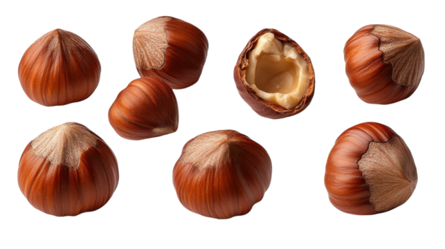 Fresh hazelnuts artfully displayed, with one opened to reveal its creamy interior