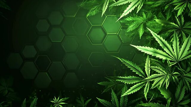 Green marijuana leaves are shown against a dark green hexagonal background