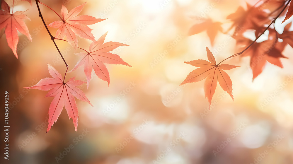 Canvas Prints Autumn Leaves on a Branch with Sunlight Background - Illustration