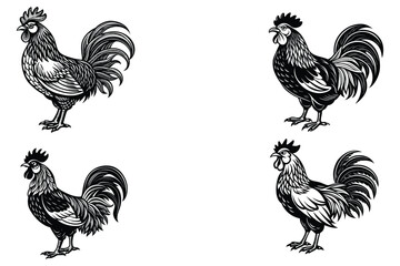 It is very cute vector rooster with illustration design