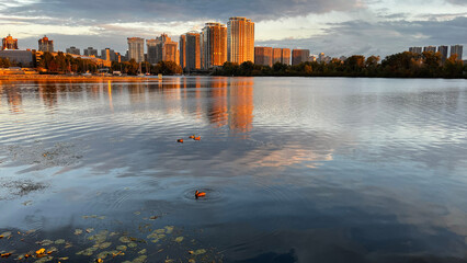 Fototapety na wymiar - Fototapeta24.pl