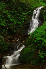 Naklejka premium 岩手県北上市 夏の滝