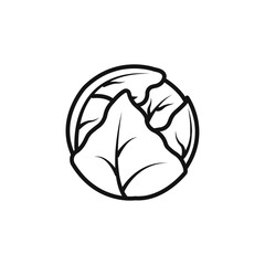 Brussels sprouts Cabbage icon Isolated flat vector in outline
