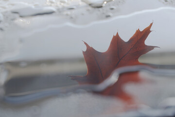 Autumn mood