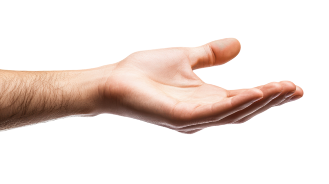 An open hand reaching out in a gesture of offering and connection against a bright background