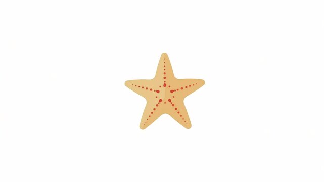 4k icon of starfish isolated on white background