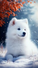 Fototapeta premium A fluffy white puppy sits peacefully in the snow while delicate snowflakes fall around it, framed by vibrant autumn leaves , samoyed