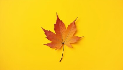  Autumns vibrant beauty captured in a single leaf