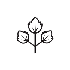 Obraz premium Parsley icon Isolated flat vector in outline
