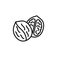 Walnut icon Isolated flat vector in outline