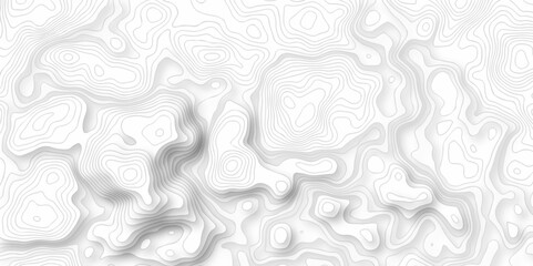 Vector abstract wave curve topo grid map with Geographic mountain relief. Abstract lines background. Contour maps. Topo contour map design. Lines Topographic contour lines map seamless pattern.