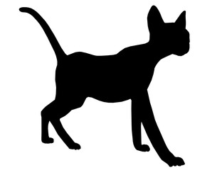 Vector illustration isolated silhouette cat walking