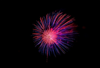 Fototapeta premium An isolated, colorful firework display against a black background.