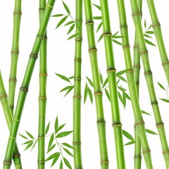 bamboo green sticks with leaves isolated on white background