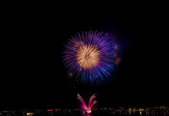 A single burst of purple and blue fireworks against a black background.
