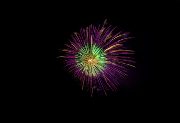 Obraz premium A single firework bursts in a vibrant display of purple, green, and gold against a black background.