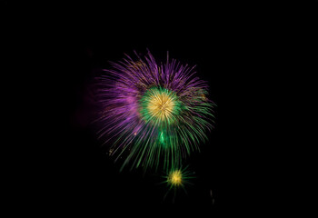 Fototapeta premium A single firework explodes against a black background, revealing vibrant purple, green, and yellow colors.