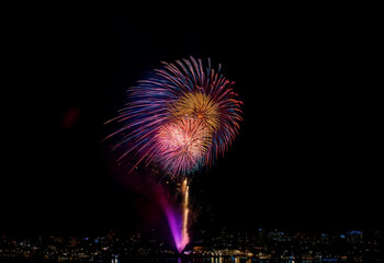 A colorful firework display bursts against a black night sky.