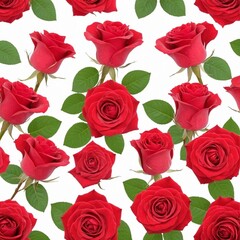 red roses isolated on white background