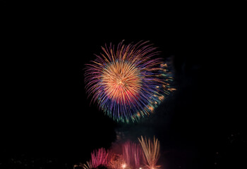 Fototapeta premium A colorful firework display bursts against a black night sky.