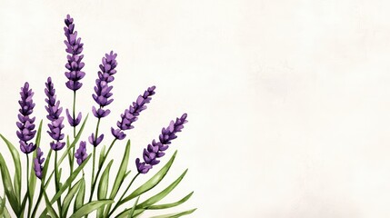 Naklejka premium Lavender flowers in a beautiful arrangement with a soft background.