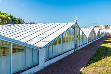 Obraz premium A view along greenhouses used to grow pineapples on the island of San Miguel in the Azores in summertime
