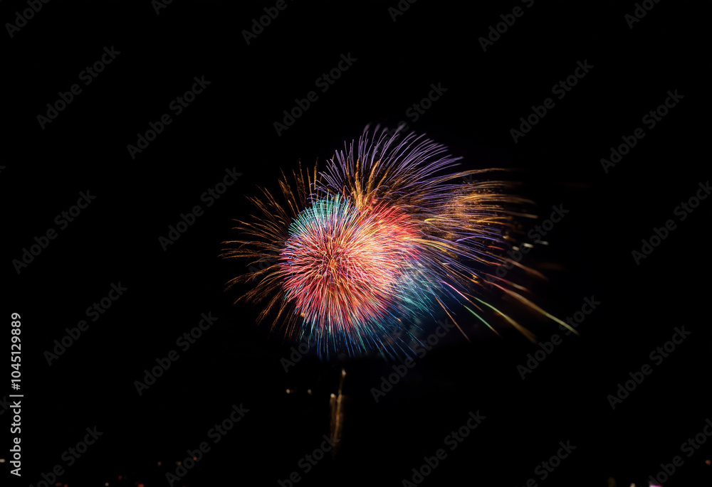Poster A single firework explodes in the night sky, its colorful trails creating a circular pattern against the dark background.